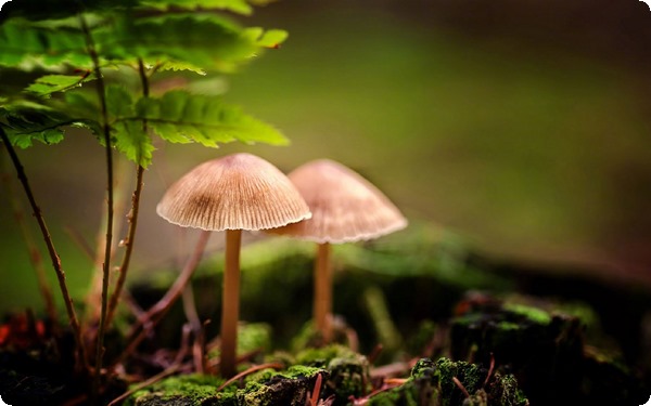 了解自我價(jià)值：多維度了解自我獲得自我潛能的方法