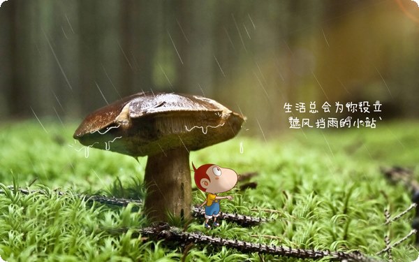 提高睡眠質(zhì)量最有效的5個(gè)方法