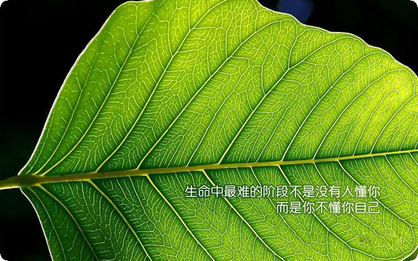 心理咨詢師對于心理咨詢的看法 對咨詢關(guān)系的建立和維護產(chǎn)生影響