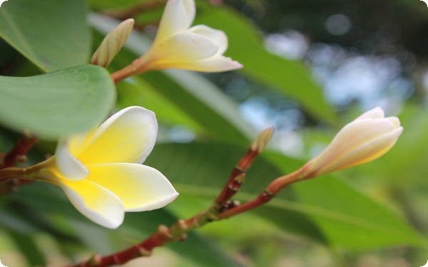 強(qiáng)迫癥意識(shí)與潛意識(shí)對(duì)抗 關(guān)系與區(qū)別