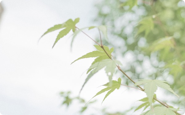 愛(ài)的成長(zhǎng)之痛：青梅竹馬也不一定能天長(zhǎng)地久