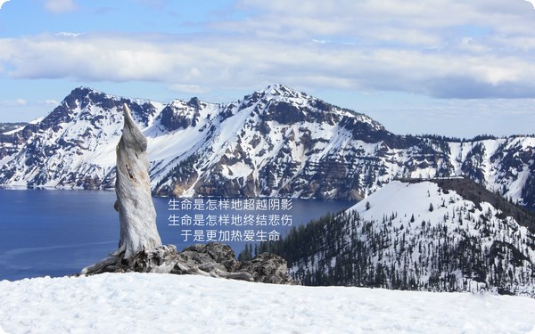 愛情本質(zhì)的體現(xiàn)是什么