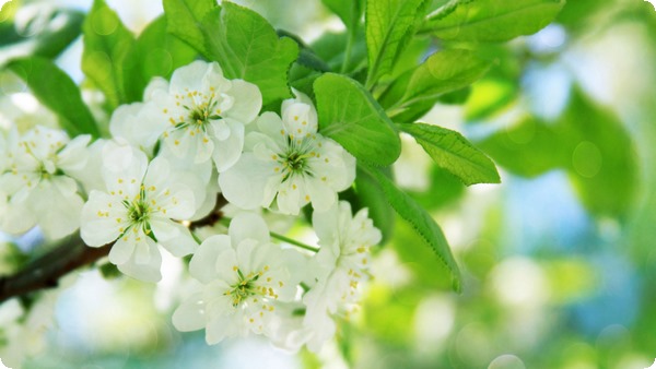 分手后后怎么快速走出來(lái) 分手后再?gòu)?fù)合的技巧