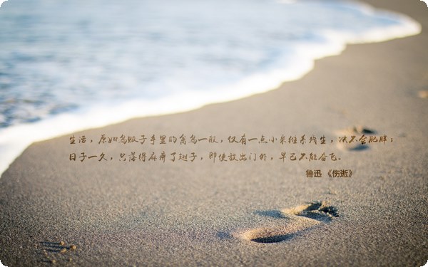 引導(dǎo)孩子玩游戲的正確度”