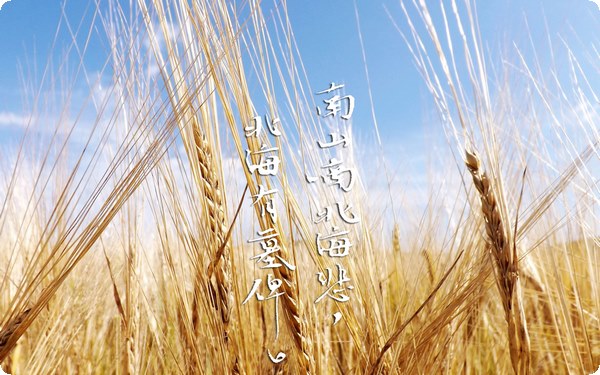 社交恐懼癥最有效的治療方法 正視自己內(nèi)心的問題做自己