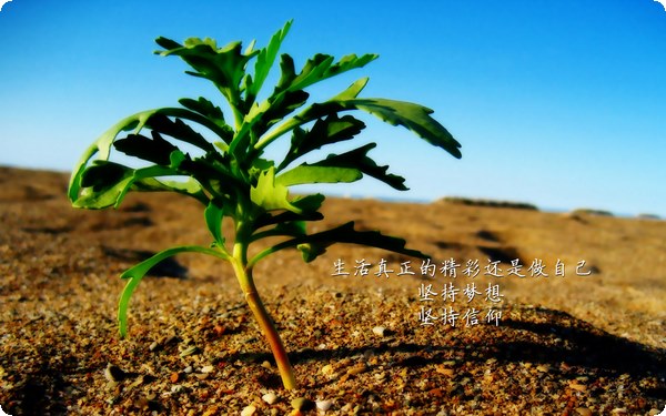 心理幻覺：自我感覺良好心理效應(yīng)