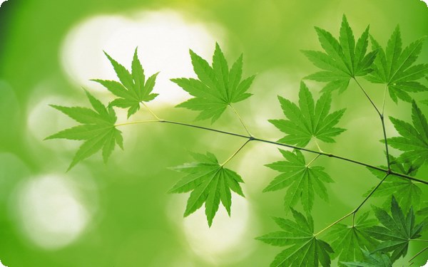 10個良好的家庭教育方式和方法