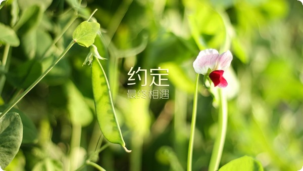 出現(xiàn)焦慮情緒該怎么辦 怎么控制 怎么緩解