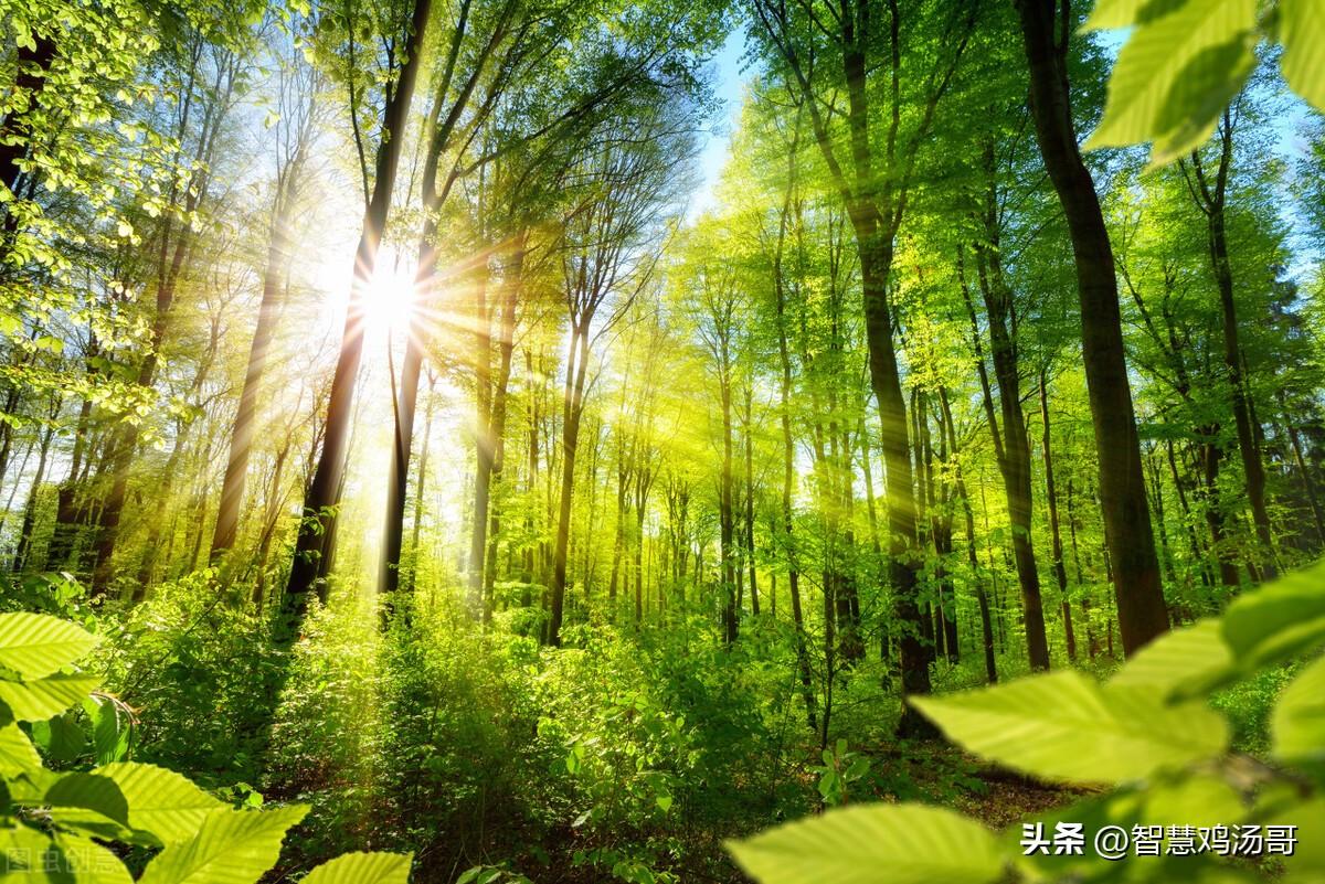 彩色能量心理學(xué)：學(xué)會傾聽并吸收提升正能量