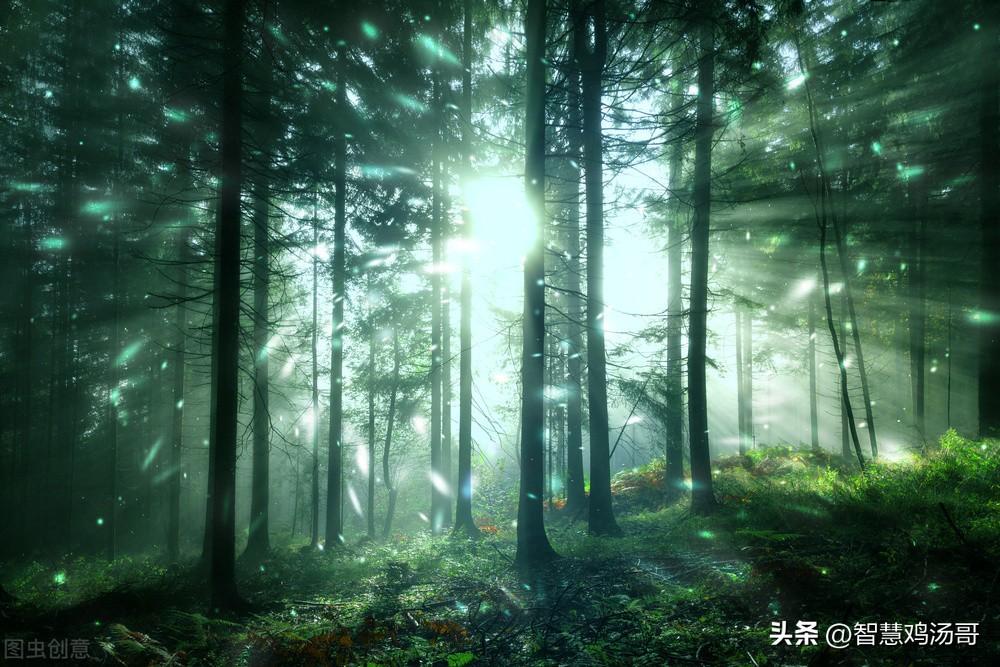 彩色能量心理學(xué)：學(xué)會傾聽并吸收提升正能量